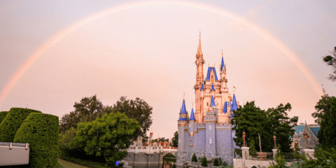 img peque viaje a disney todo incluido